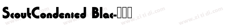 ScoutCondensed Blac字体转换